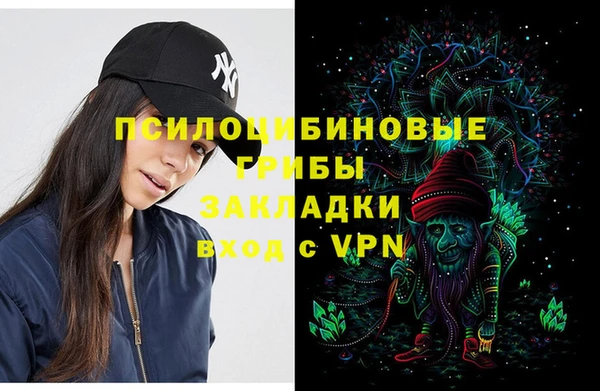 ешки Няндома