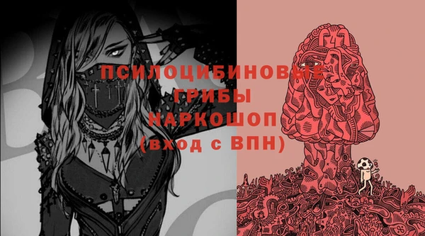ешки Няндома
