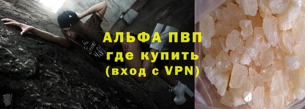 spice Новодвинск