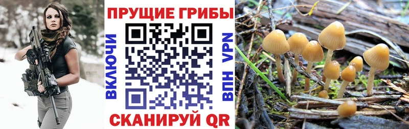 Псилоцибиновые грибы ЛСД  наркота  Пошехонье 
